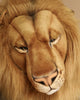 A close-up of the Extra Large Lion, 39'' - FINAL SALE plush toy with golden fur, hand-sewn details, and expressive downward-looking eyes showcases the lifelike features of this premium stuffed animal.