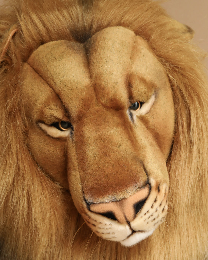A close-up of the Extra Large Lion, 39'' - FINAL SALE plush toy with golden fur, hand-sewn details, and expressive downward-looking eyes showcases the lifelike features of this premium stuffed animal.