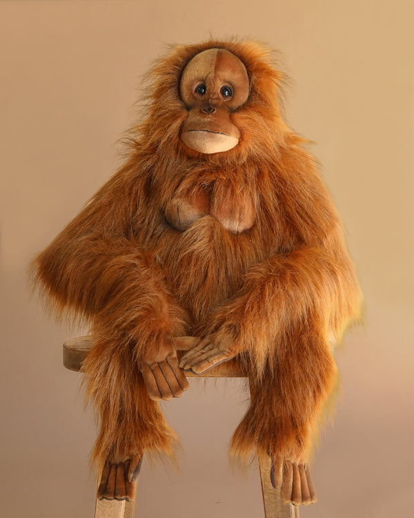 The Hansa Orangutan Monkey Stuffed Animal, featuring lifelike long orange fur, sits on a wooden stool against a plain beige background with its hands resting on its knees.