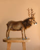 The 20" Brown Reindeer Stuffed Animal stands on a wooden stool against a plain beige background.