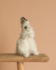 The White Bunny Stuffed Animal sits upright on a wooden bench with black ear tips, realistic features, and hand-sewn charm against a beige background.