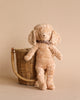 A Maileg Poodle Dog with a fluffy tan coat, standing next to a woven wicker basket against a pale beige background. The vintage look dog wears a small bow around its neck.