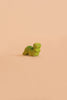 A small, green Bumbu Handmade Wooden Caterpillar with a cute, smiling face sits on a plain peach background, evoking the charm of a Montessori toy perfect for imaginative play.