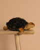 A cuddly companion, the Steiff Slo Tortoise Stuffed Animal features a dark textured shell and light brown head and limbs, sitting on a wooden bench against a beige background.