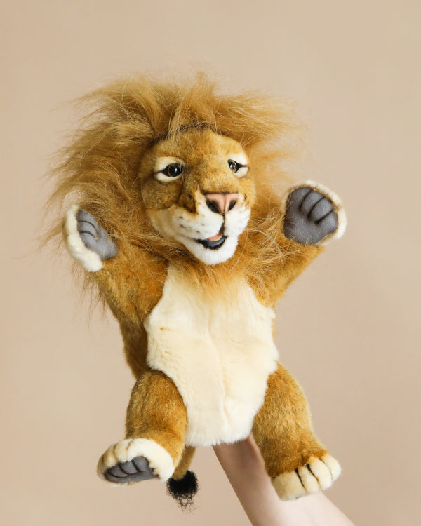 A Lion Puppet with a fluffy mane and beige belly is held up by a hand against a plain light brown background. The puppet, boasting realistic features, has its front paws raised and appears to be smiling, showcasing its unique personality.