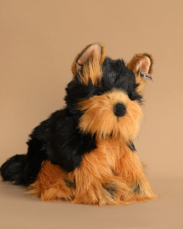 A Steiff Yorkshire Terrier Plush Toy Dog with black and brown fur sits against a plain beige background. Its ears are perked up, and it has a fluffy tail, capturing the essence of Herkules's playful spirit.