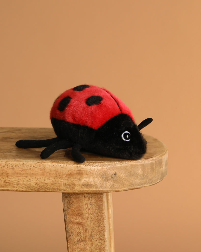 The Lady Bug Stuffed Animal features a red body with black spots and legs, and is displayed on a wooden stool against a plain brown background.