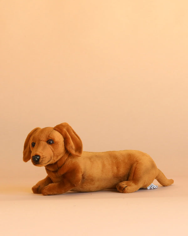 The Dachshund Puppy Dog Stuffed Animal, a brown plush toy designed to look like a lifelike dachshund, is displayed on a light beige surface against a matching beige background.