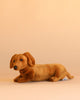 The Dachshund Puppy Dog Stuffed Animal, a brown plush toy designed to look like a lifelike dachshund, is displayed on a light beige surface against a matching beige background.