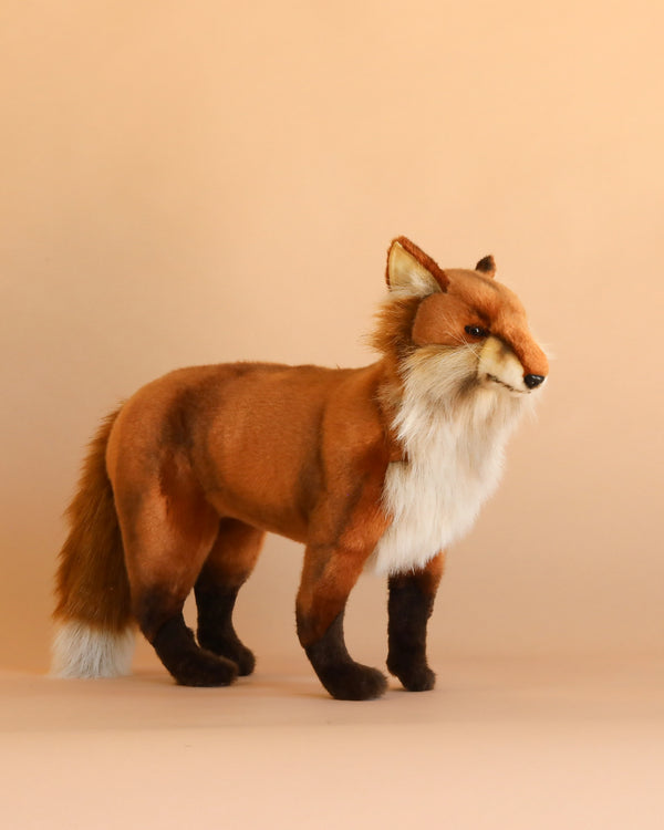 The Standing Red Fox Stuffed Animal, featuring brown fur, black legs, and a white chest, stands on a light beige background. Expertly artisan handcrafted with lifelike details and exquisite quality, this plush fox makes an ideal addition for collectors who appreciate realistic stuffed animals.