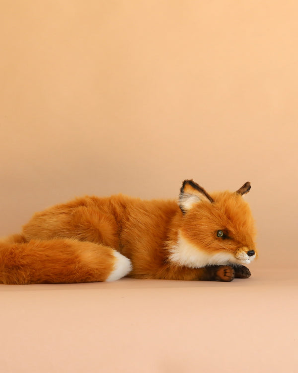A Fox Stuffed Animal lies on a beige surface with a matching beige background, looking forward with its head resting on its paws and its bushy tail curled beside it.