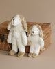 Two plush rabbit toys seated against a Senger Naturwelt Stuffed Animal - Dog basket on a beige background. One toy is upright, and the other is leaning slightly, both looking forwards.