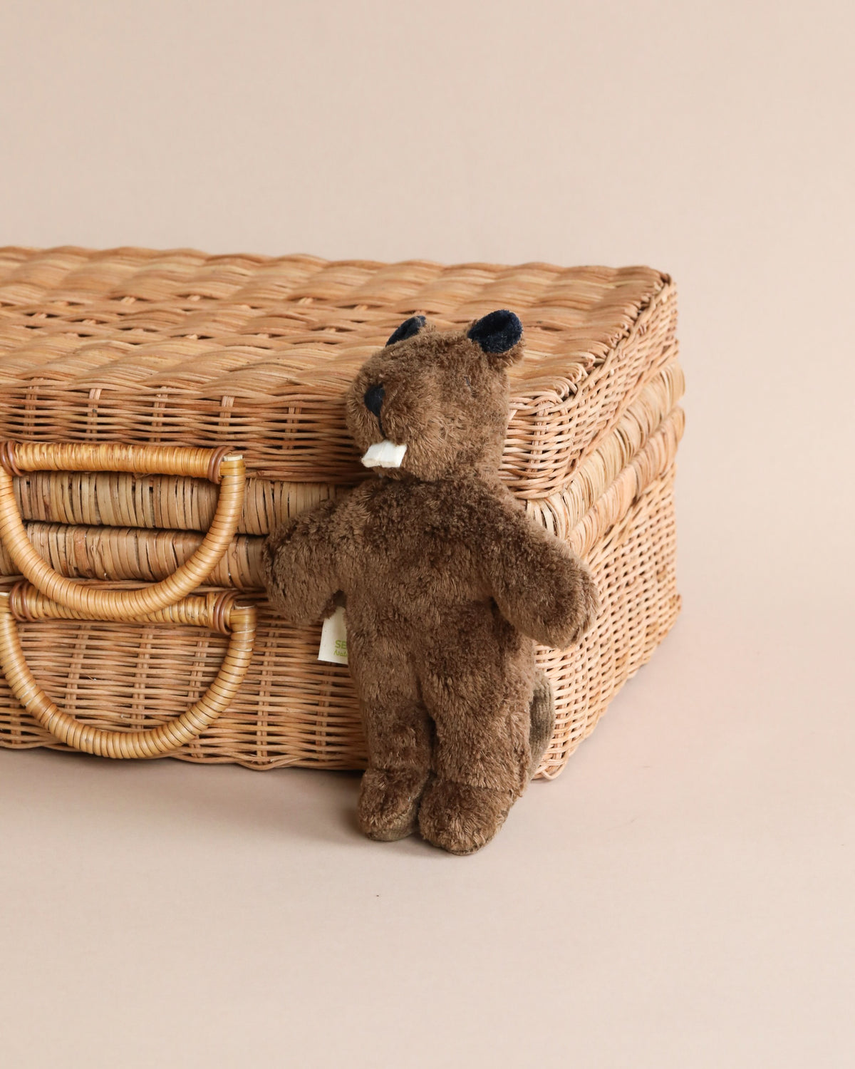 Beaver Animal Baby Soft Toy by Senger Naturwelt main image 0