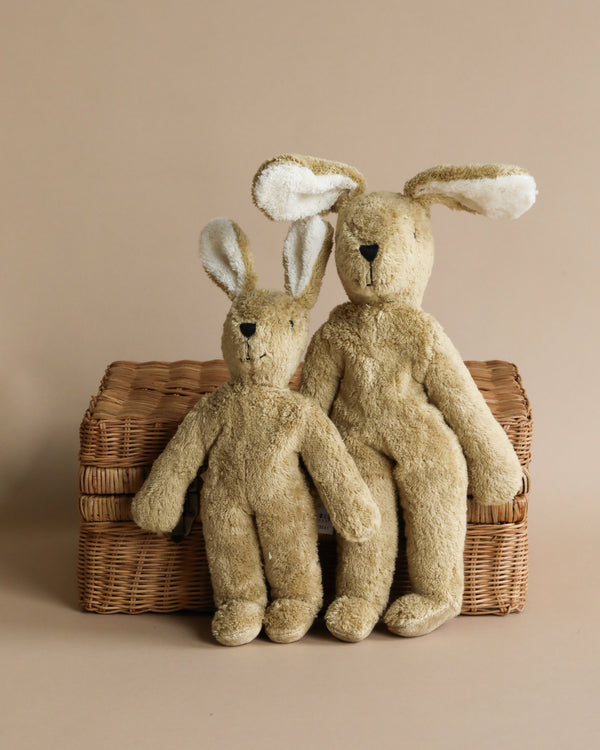 Two Senger Naturwelt Beige Bunny stuffed animals sitting on a wicker basket against a neutral beige background. One rabbit, crafted from organically grown cotton, is larger and embraces the smaller one.