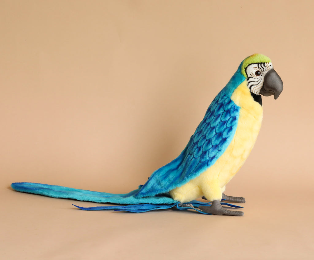A colorful Macaw Bird Stuffed Animal with realistic features, including a detailed beak and long tail feathers, displayed against a light brown backdrop.