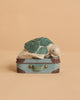 The Tiny Turtle Travel Set features a small, handmade felt turtle with a green shell sitting on a blue patterned Maileg micro suitcase, displayed against a plain beige background.