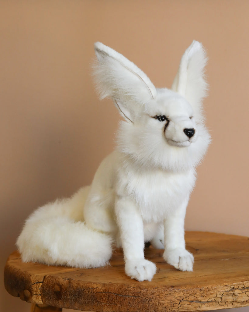 The Arctic Fox Stuffed Animal from Hansa Animals, with large ears and realistic detail, rests on a rough wooden surface against a beige background.