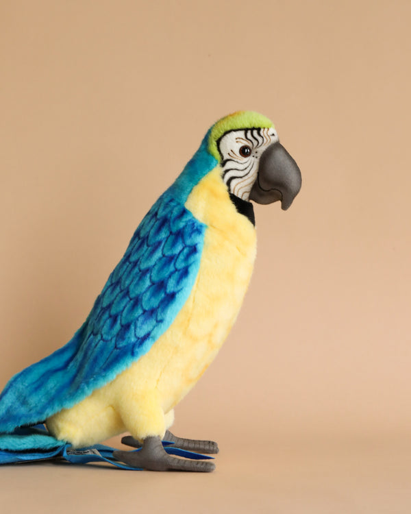 A Macaw Bird Stuffed Animal with realistic features, featuring vivid blue wings and back, a yellow chest, and grey feet, on a beige background.