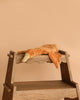 The Senger Naturwelt Cuddly Animal - Rust Goose, with a beige beak, is draped over the top step of a wooden stepladder against a plain light brown background.