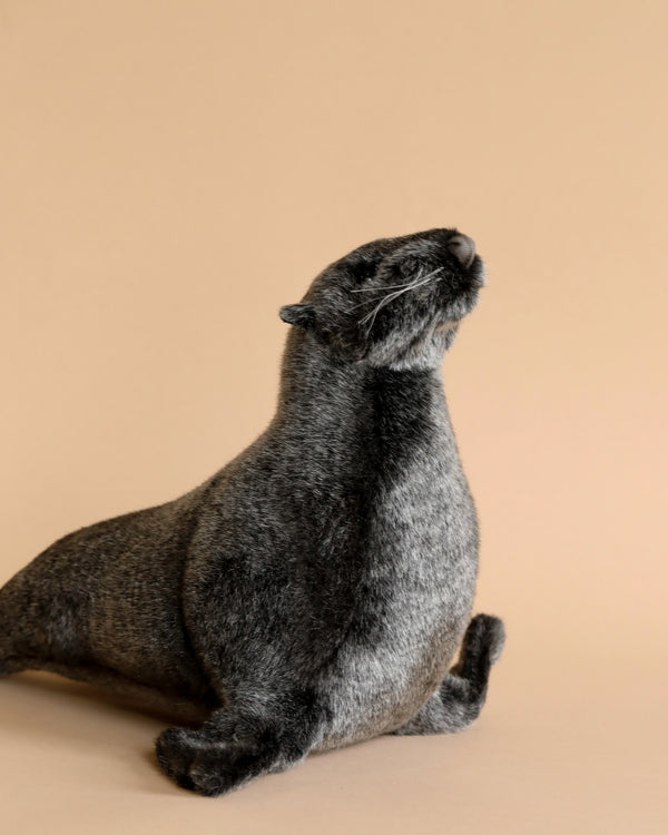 A Sea Lion Cub Stuffed Animal with grey fur, sitting upright against a light beige background, with its head tilted upward as if looking at something above.