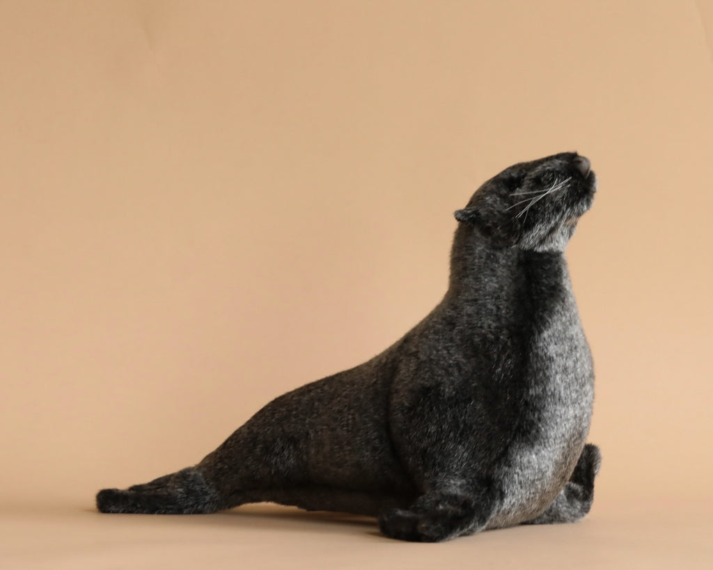 A Sea Lion Cub Stuffed Animal with a dark gray coat, posed in profile with its head tilted upwards, against a soft beige background.