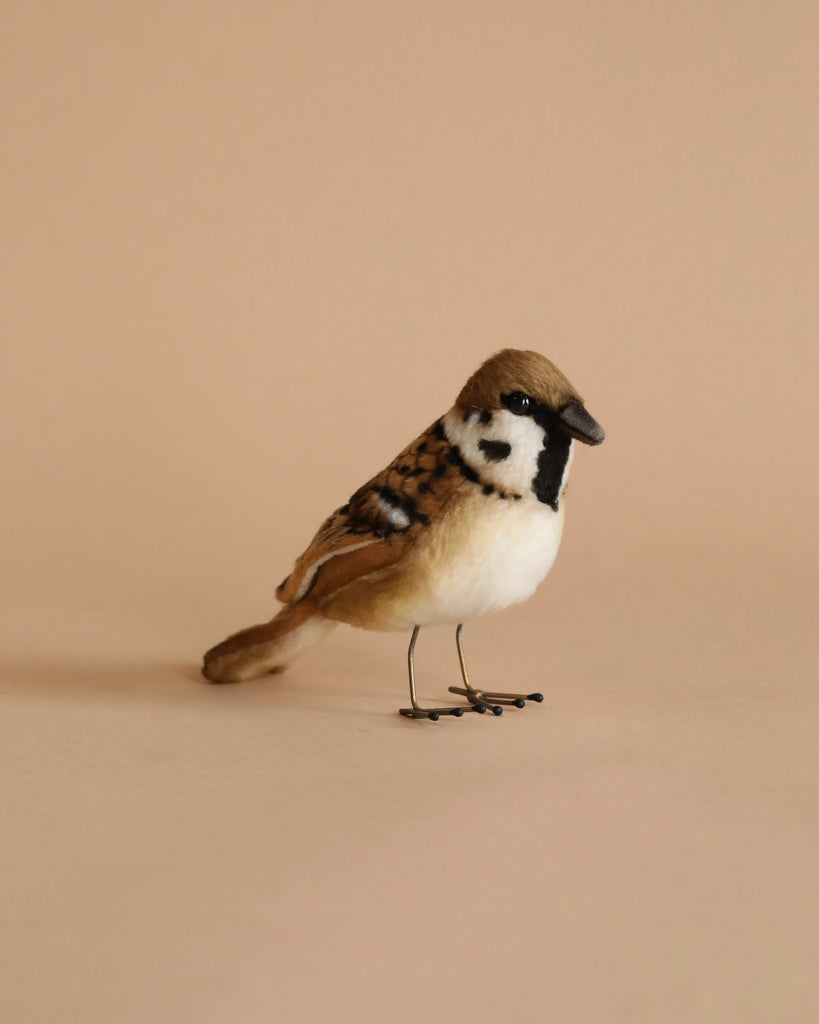 A Sparrow Bird Stuffed Animal with realistic features and brown, white, and black plumage stands on a plain beige background, displaying its profile with a sharp, black eye mask.