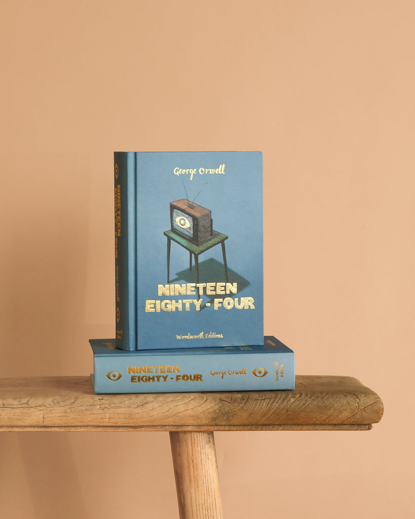 A "1984 George Orwell | Collector's Edition | Hardcover" stands upright on a wooden bench, with another copy lying flat below; both books feature blue covers with vintage TV illustrations, capturing Orwell’s iconic dystopian vision.
