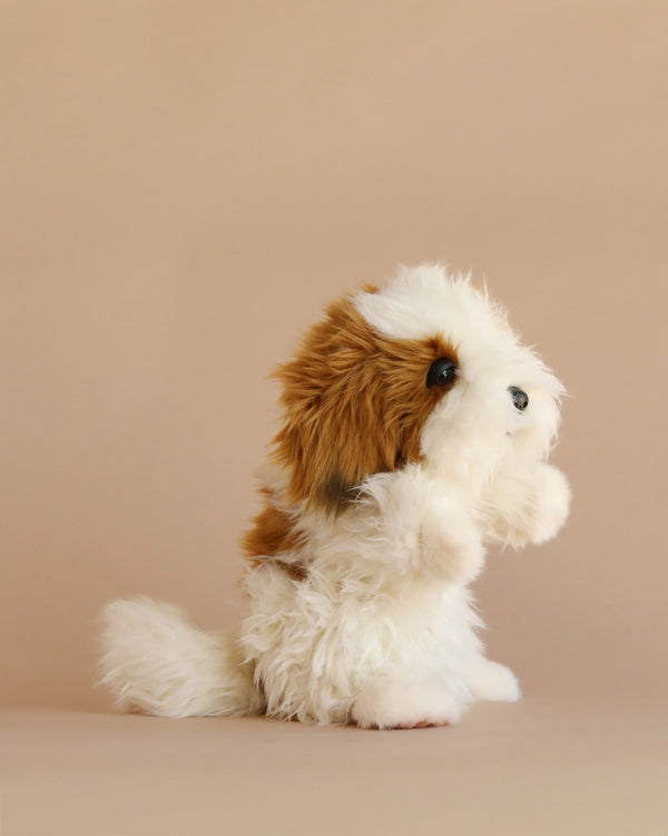 The Shih Tzu Dog Puppet is a fluffy, white and brown plush dog toy positioned on a plain beige background, facing to the right with its front paws raised as if begging or waving. Expertly crafted in the tradition of hand-sewn stuffed animals, this puppet captures charming details for a realistic plush animal look.