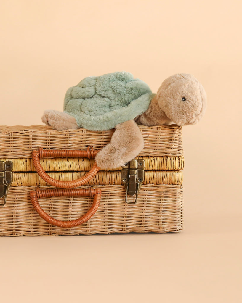A Bukowski Baby Sandy Sea Turtle plush toy in medium size, featuring a green shell, rests atop a closed wicker suitcase with two handles against a plain beige background.