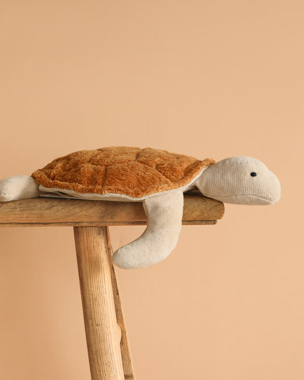 The Senger Naturwelt Cuddly Animal - Turtle, a soft toy with a brown shell and beige body, made from organic cotton for extra comfort, rests on a wooden stool against a plain light beige background.