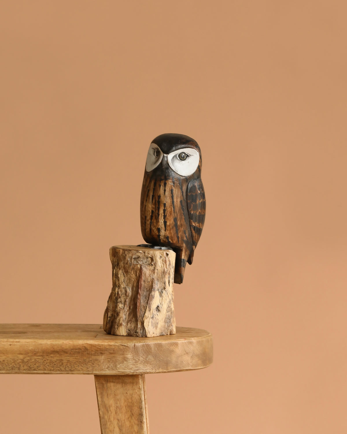 Hand Carved Saw Whet Owl - 10