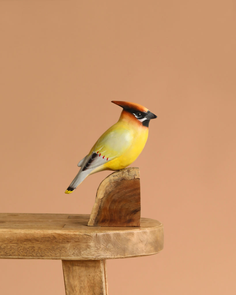 A vibrant Hand Carved Ornament - Cedar Wax Wing Bird - 8"H, with yellow and brown plumage, perches on a handcrafted wooden bird stool against a plain light brown background.