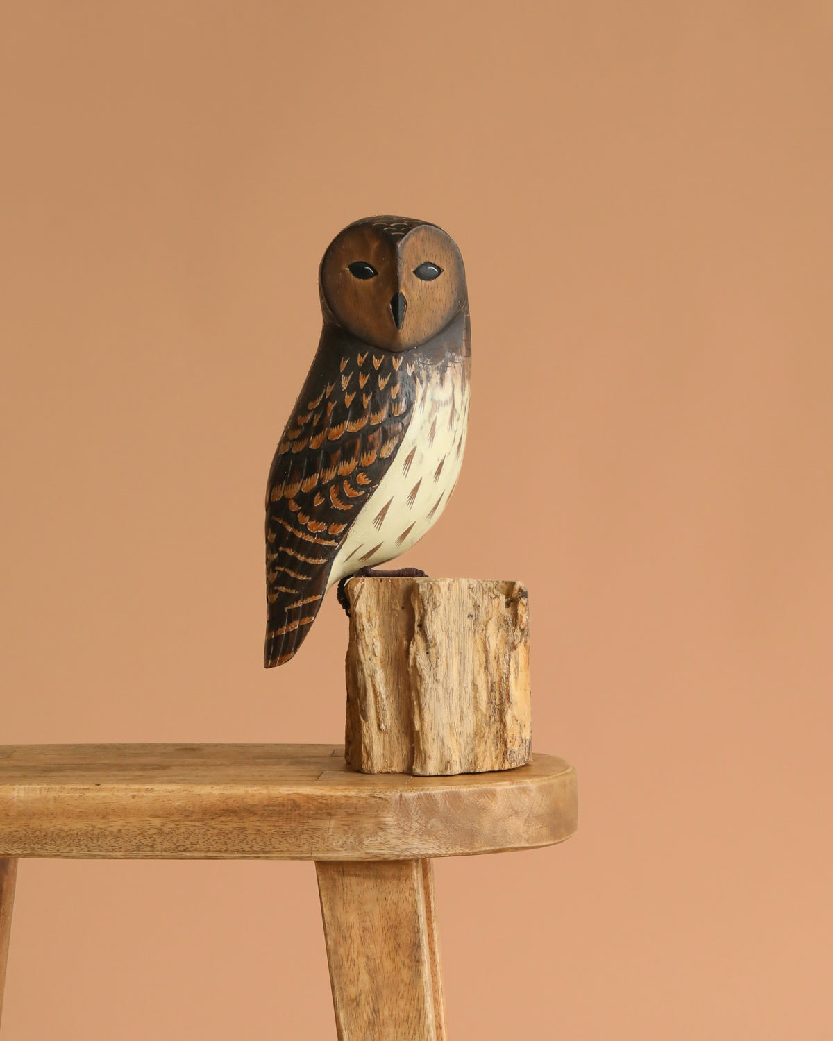 Hand Carved Barred Owl - 13