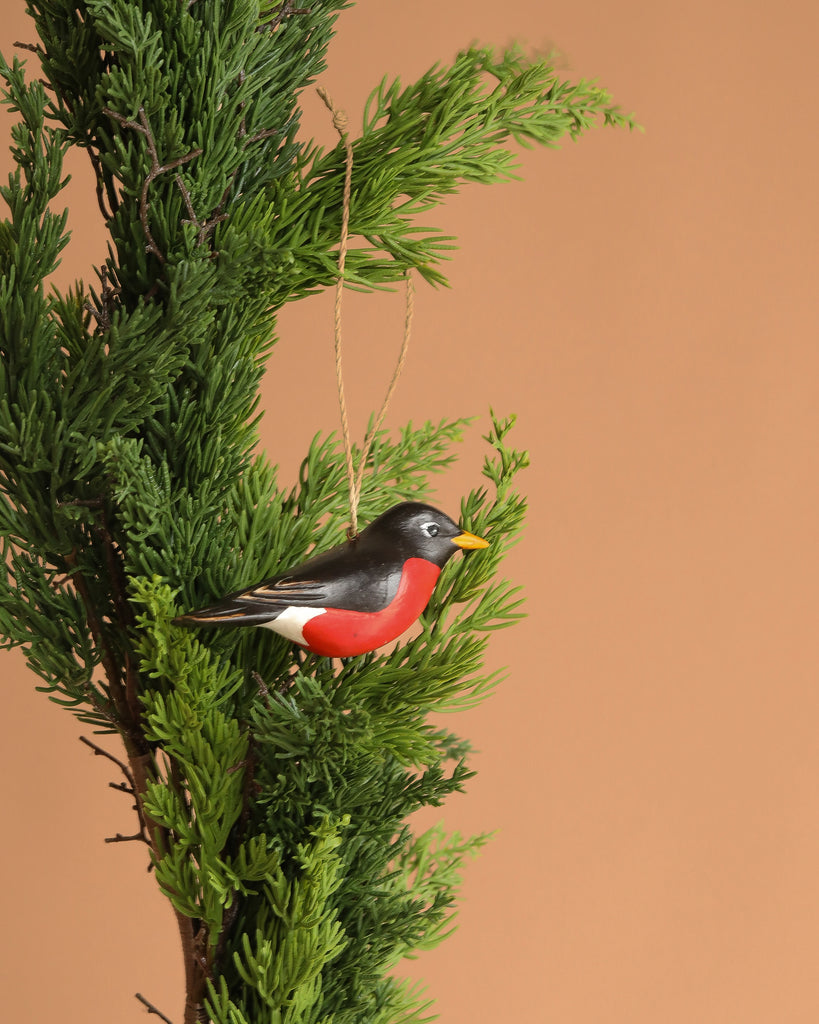 A green pine branch against a brown backdrop displays the Hand Carved Hanging Ornament - Robin Bird - 2.5"H, featuring a red belly, black head, and white wing details.