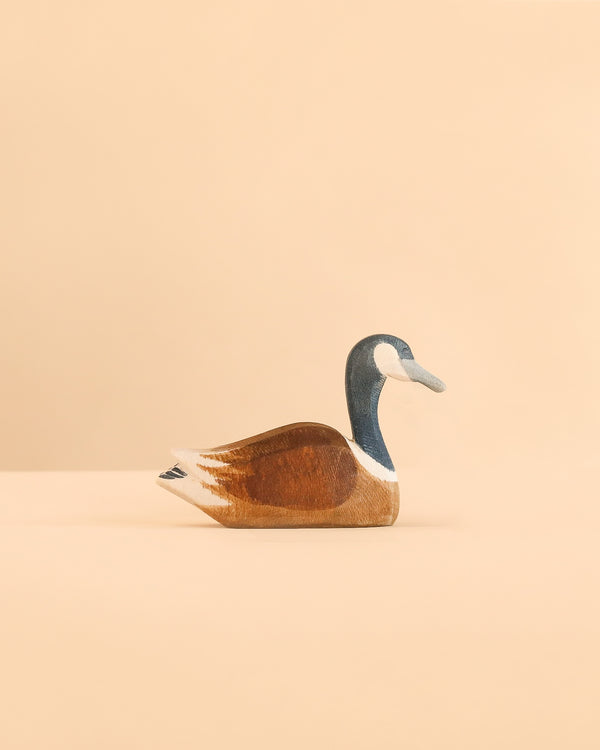 Handcrafted in Germany, the Ostheimer Canada Goose - Swimming is a wooden toy depicting a swimming Canada goose with a brown body and distinct black and white neck markings.