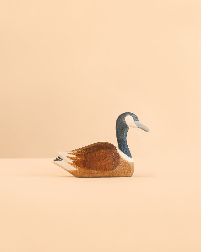 Handcrafted in Germany, the Ostheimer Canada Goose - Swimming is a wooden toy depicting a swimming Canada goose with a brown body and distinct black and white neck markings.
