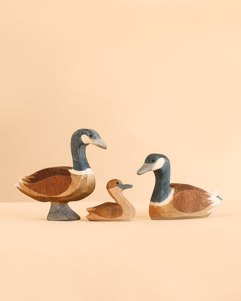 Ostheimer Handmade Wooden Canada Goose Family Set featuring a standing adult, a gosling, and a swimming adult.
