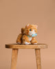 The Olli Ella Dinkum Cat Binx - Ginger, a plush orange tabby with blue eyes and a magnetic pacifier, sits on a wooden stool against a plain beige background.