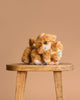 Two orange tabby cat plush toys, including the Olli Ella Dinkum Cat Binx - Ginger, sit on a wooden stool against a beige background. The larger one features a magnetic mouth design for interactive play.