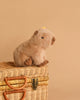 The Steiff Chip Capybara plush toy sits adorably on a closed wicker picnic basket with a plain beige background.