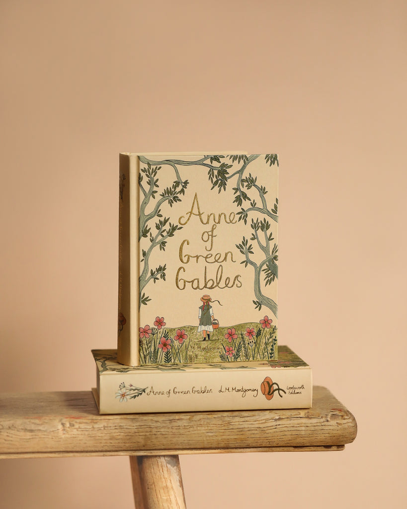 Two "Anne of Green Gables" Collector's Edition hardcover books, featuring illustrated covers, sit on a wooden bench. One stands upright displaying a girl in nature, while the other lies flat beneath it, highlighting its elegant spine against a soft beige background.