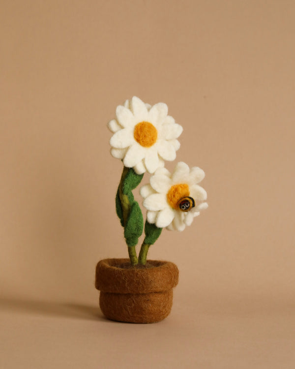 A Handmade Felt Flower Pot - Daisy featuring two white daisies with yellow centers, each attached to a green stem, and a small bee on one flower, all set in a small brown felt pot.