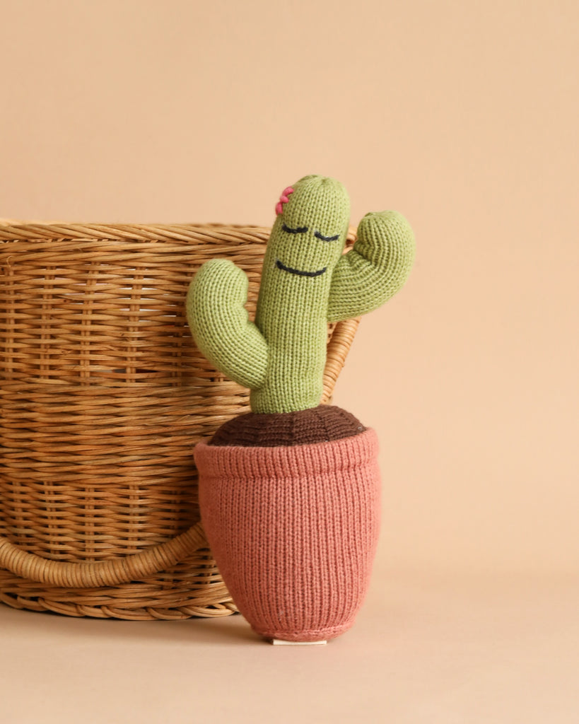 A knitted green Stuffed Cactus Toy with a smiling face and pink flower, placed in a pink pot, sitting next to a woven basket on a beige background.