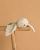 The Senger Naturwelt Cuddly Animal - Owl, a soft cream-colored stuffed owl with closed eyes, is draped over a wooden ladder set against a plain light brown background.