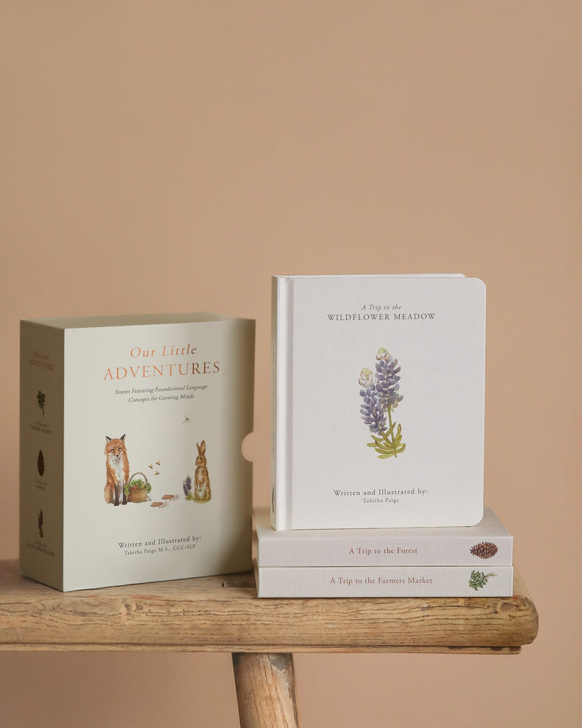 The "Our Little Adventures Book Box Set," displayed on a wooden surface, is ideal for nature exploration and language development, with titles such as "A Trip to the Wildflower Meadow" and charming illustrations like a lavender sprig.