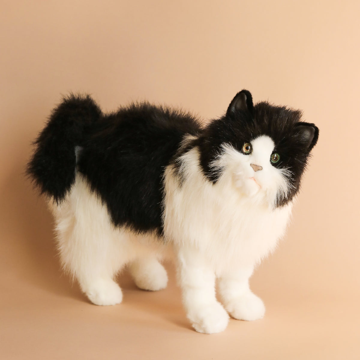 Black White Cat Stuffed Animal Odin Parker