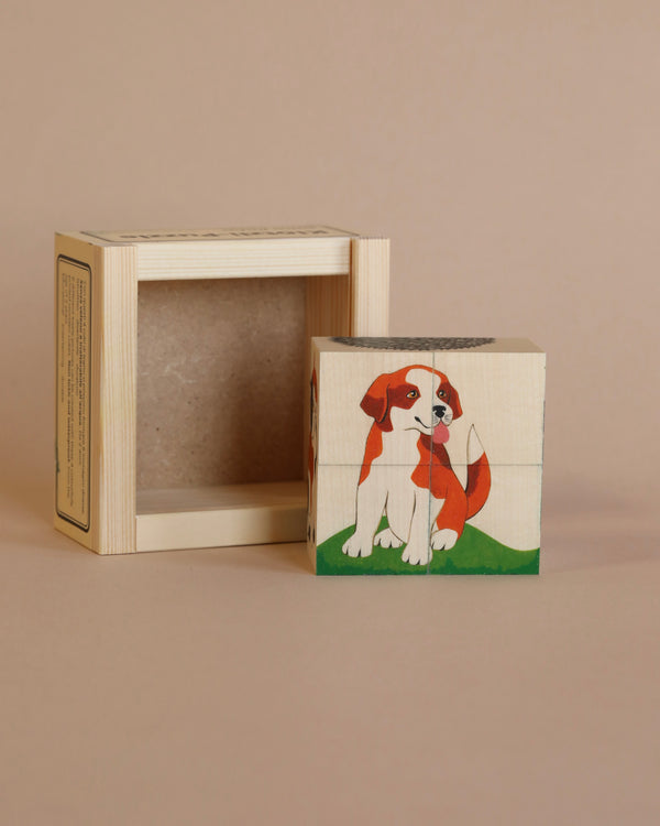A Wooden Block Puzzle - 4 Piece Domestic Animals painted with an image of a brown and white dog sitting on green grass, displayed next to an upright, open wooden box against a beige background.