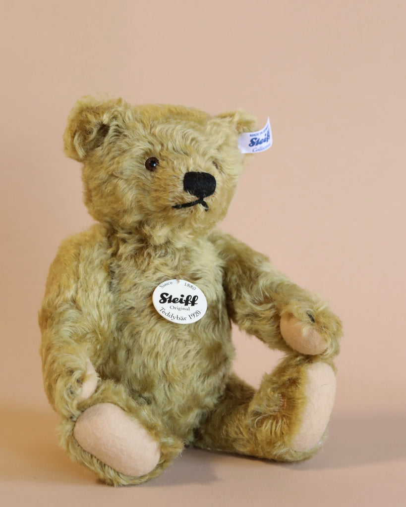 Steiff-teddy-bears  Teddy bear, Teddy bear cartoon, Vintage teddy bears