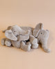 Two Senger Naturwelt Cuddly Animal - Elephant toys with their trunks intertwined, lying on a light beige background.
