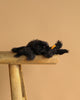 Steiff Cobweb the Spooky Spider, a black plush toy with red eyes, perches on a rustic wooden stool against a beige background—perfect for adding spooky Halloween charm to your decor.